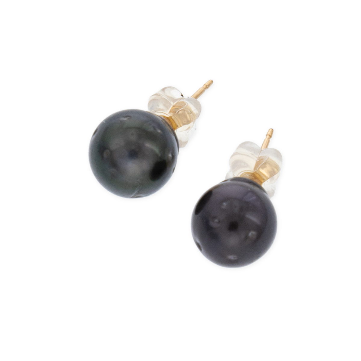 Pearl Studs - 21 Degrees North Designs - 21ºN