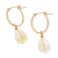 Pikake Oval Hoops - 21 Degrees North Designs - 21ºN